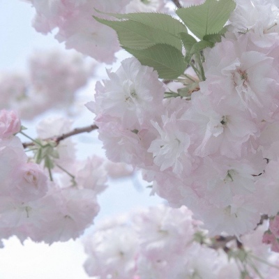 Furry数字绘画入门指南Furry群